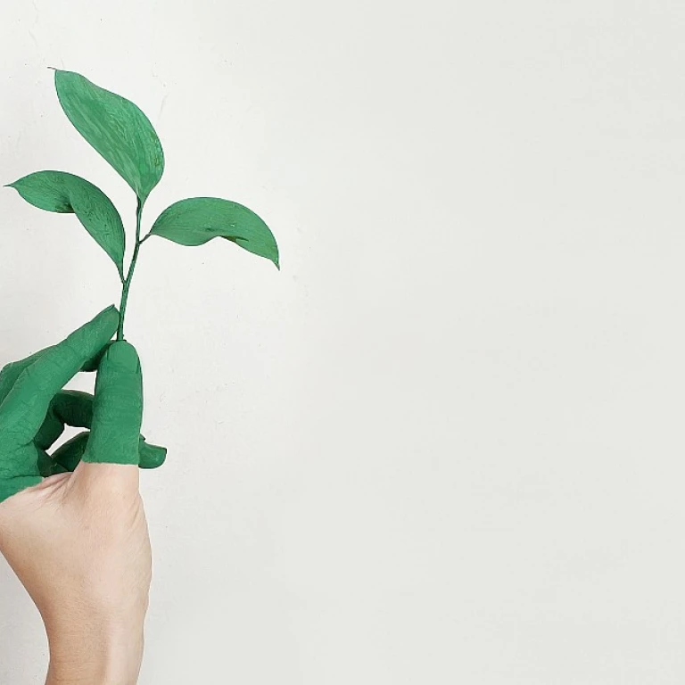 Comprendre le salaire des avocats d'affaires
