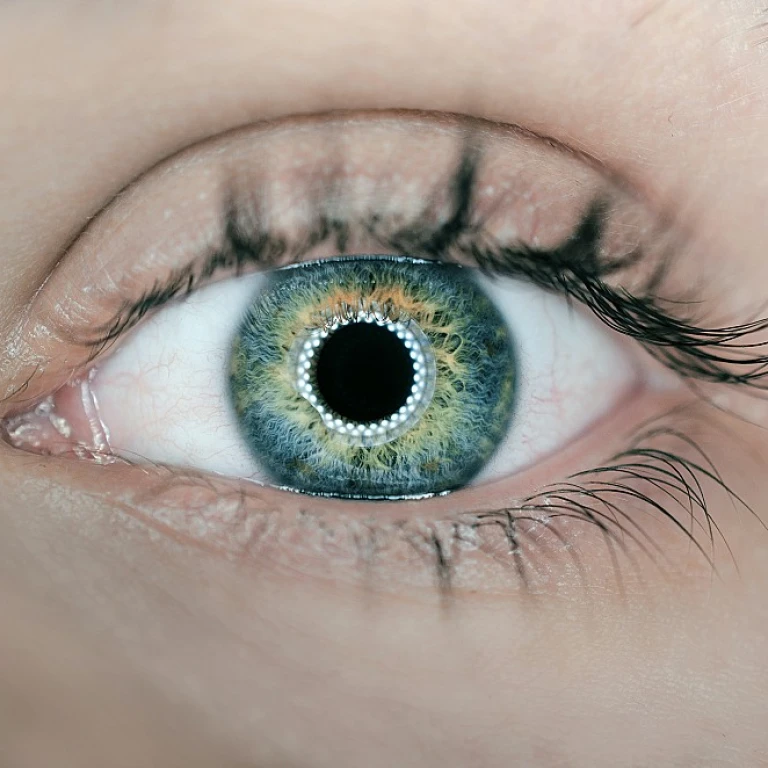 Comment choisir un logiciel pour cartographier les risques juridiques ?